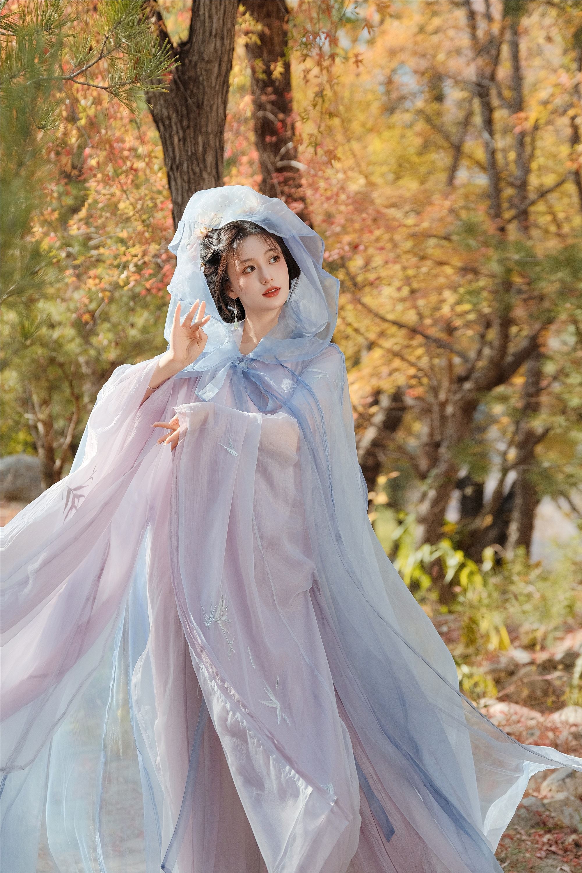 YITUYU艺图语 2025.01.04 叶落惊秋 珍妮